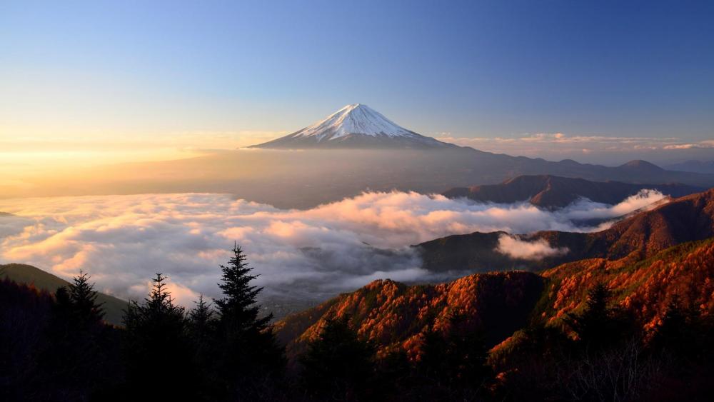 Mount Fuji volcano at sunrise wallpaper