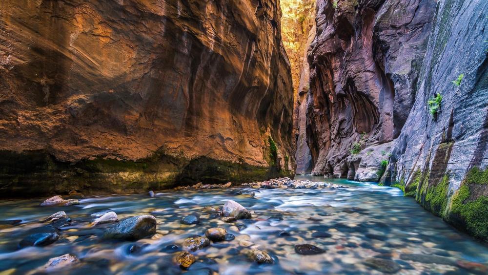 Virgin River wallpaper