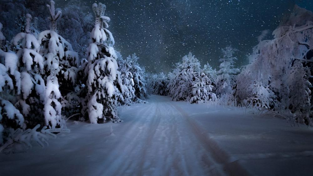 Starry winter night over the snowy forest wallpaper