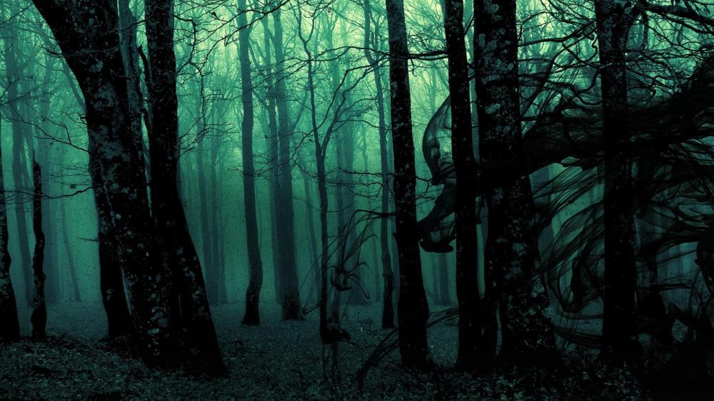 Creepy Dark Forest wallpaper