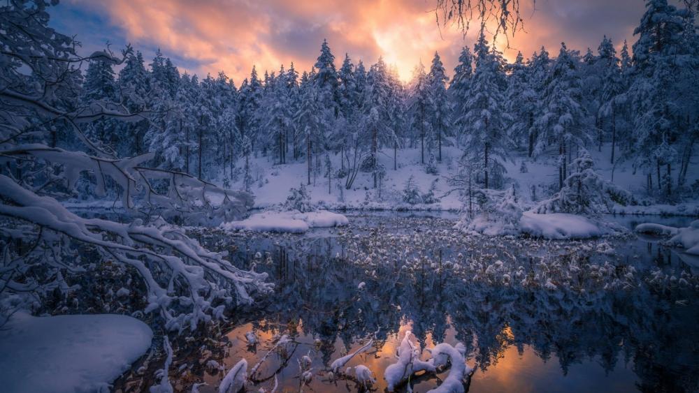 Winter wonderland in Norway wallpaper