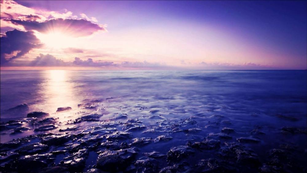 Purple sunset over the sea wallpaper