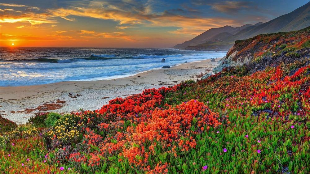 Wildflowers by the sea wallpaper