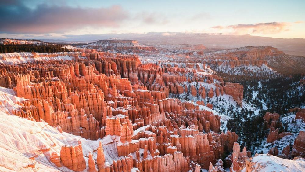 Winter time in Bryce Canyon National Park wallpaper