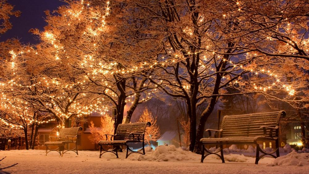 Christmas lights in the park wallpaper