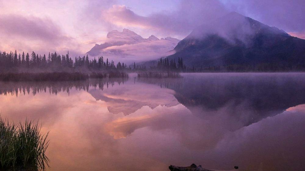 Purple landscape reflectied in Vermilion Lakes at dawn wallpaper