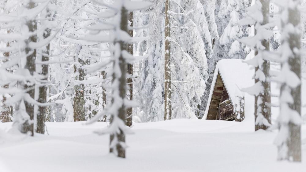 Hut in the snowy forest wallpaper