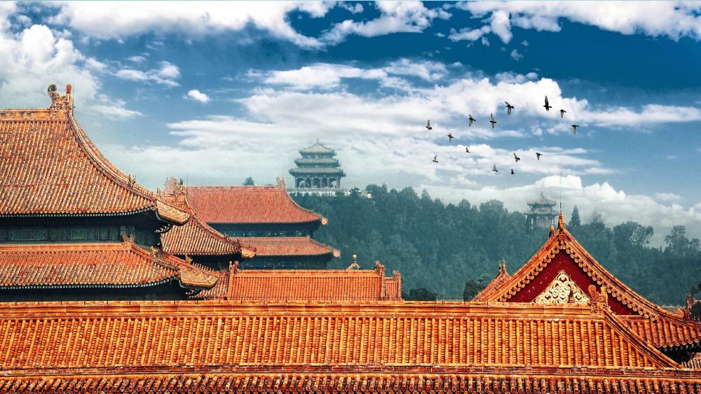 Castle roof in Forbidden city wallpaper