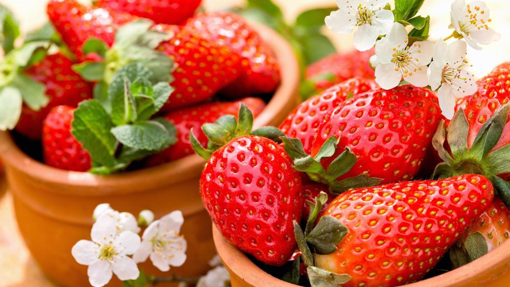 Strawberries and flowers wallpaper