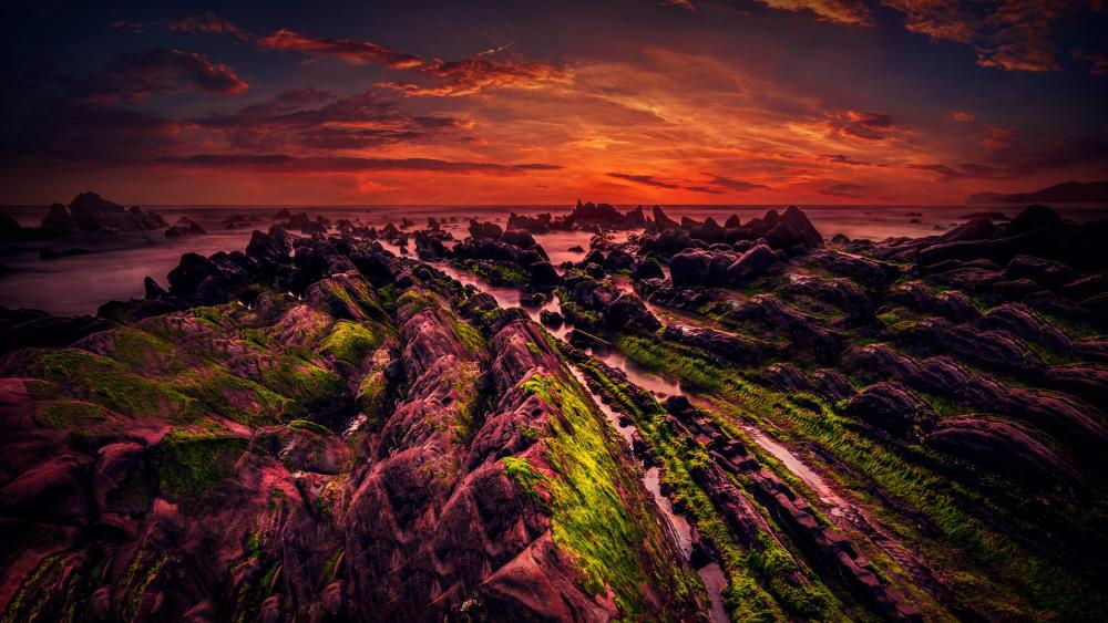 The Hovs Hallar coastline at sunset wallpaper
