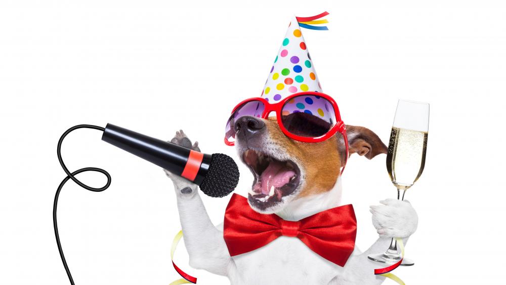 Singing Jack Russel Terrier wallpaper