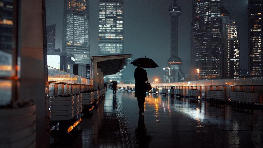 Rainy night in Shanghai wallpaper