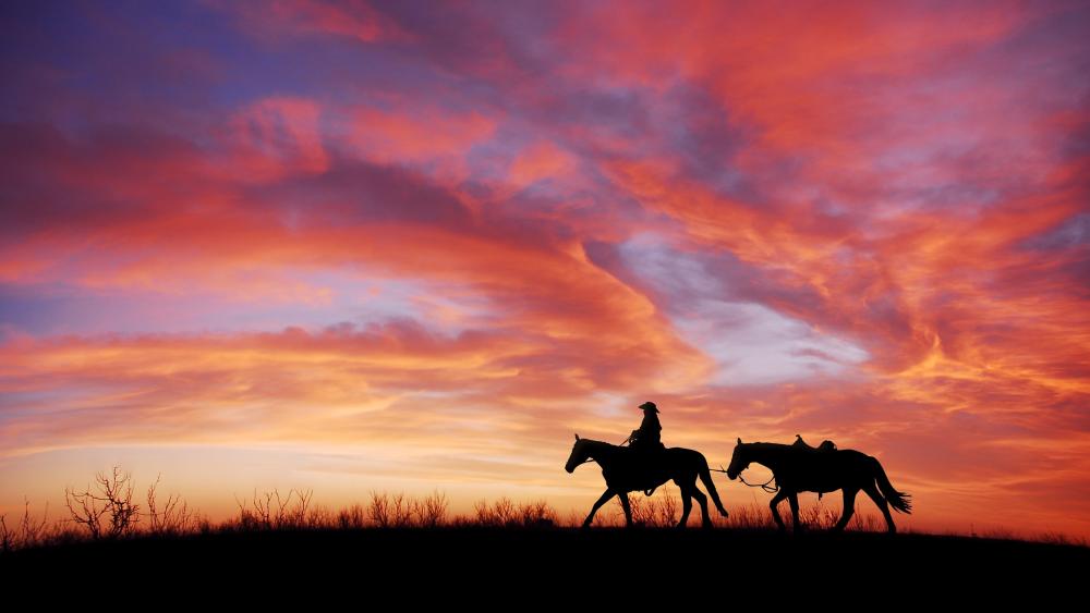 Cowboy at sunset wallpaper