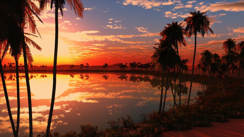 Tropical sunset reflection wallpaper