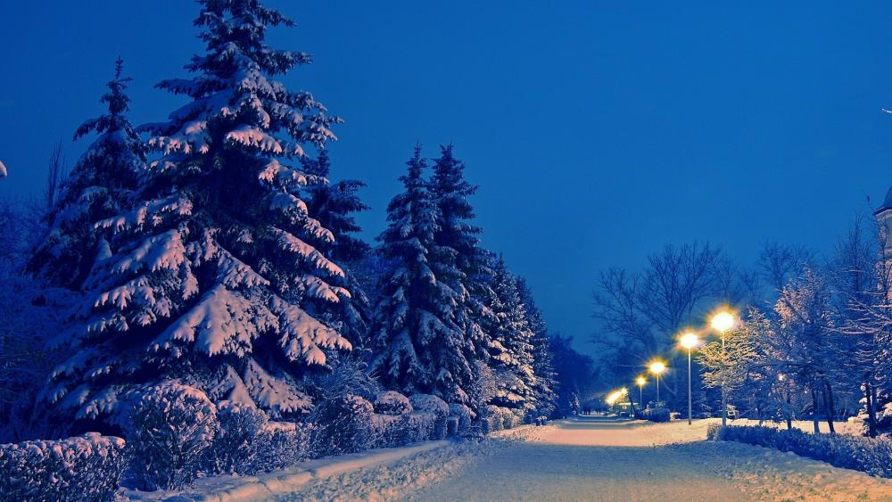 Winter street lights wallpaper