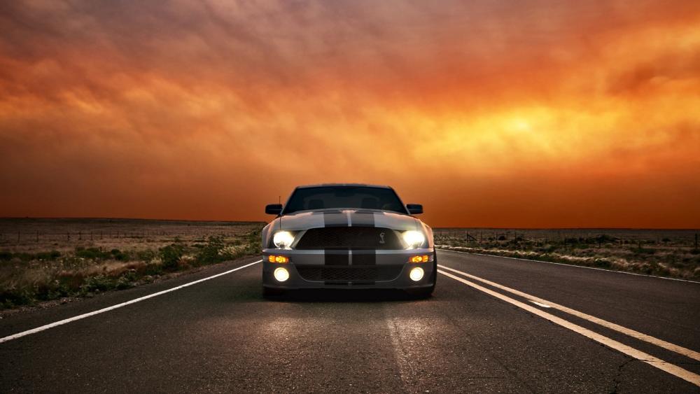 Ford Mustang Shelby Cobra GT 500 wallpaper