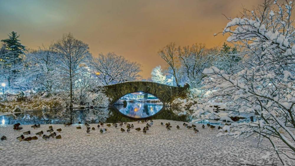 Bow Bridge in winter (Central Park) wallpaper