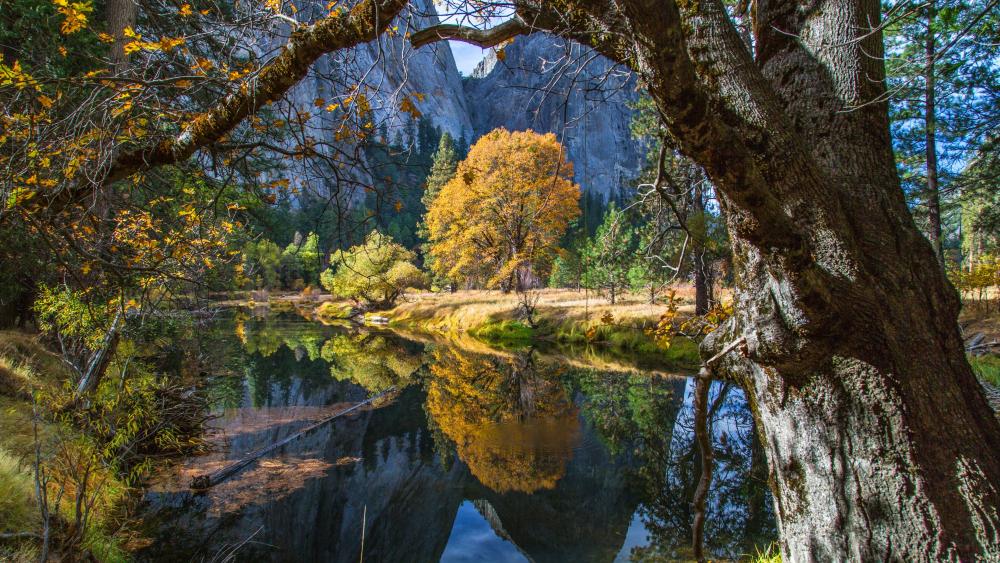 Merced River in Yosemite Valley wallpaper