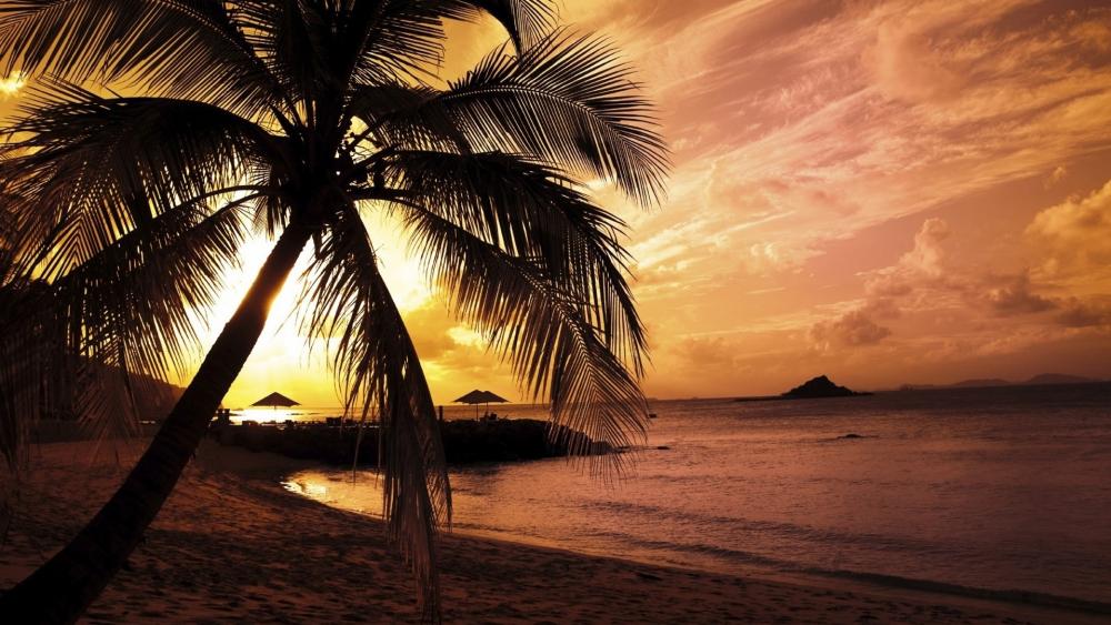 Tropical beach sunset wallpaper