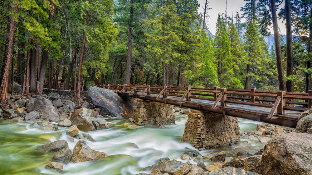 Footbridge over Merced River (Yosemite National Park) wallpaper