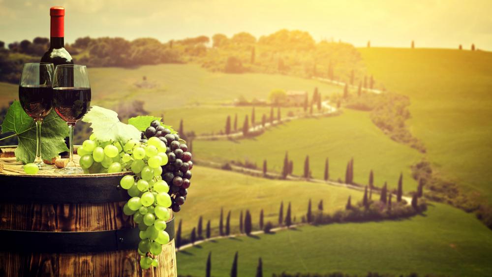 Grapes and wine wallpaper