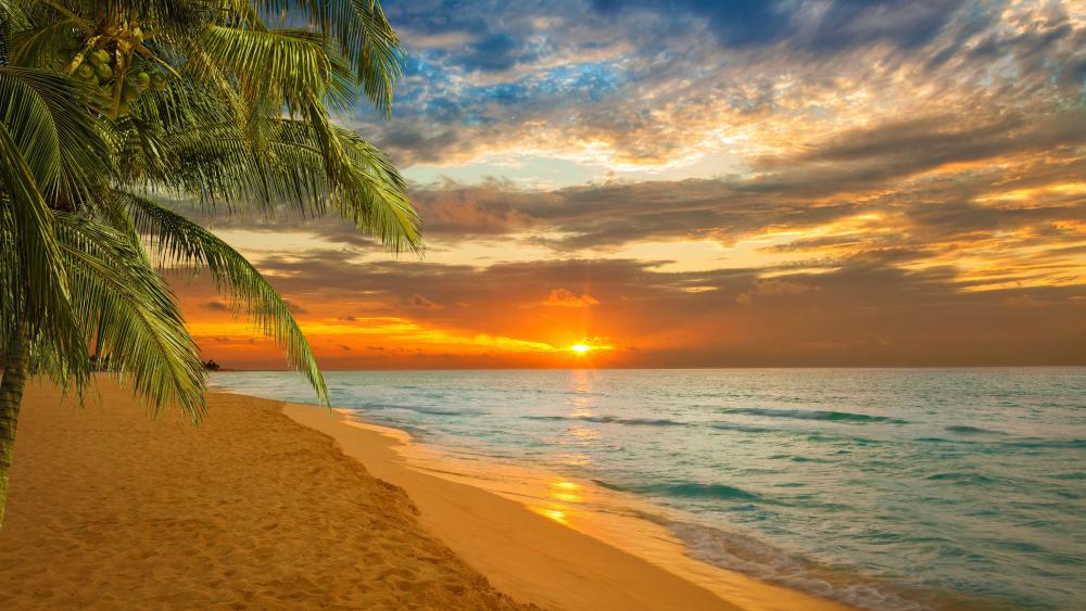 Kovalam Beach sunset wallpaper
