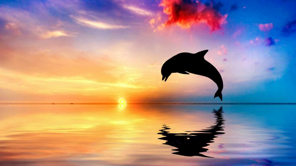 Silhouette of a Dolphin at Sunset wallpaper