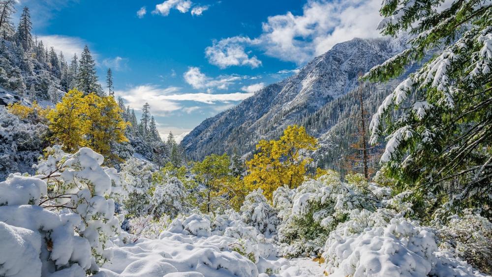 Autumn snow in the Trinity Alps (California) wallpaper