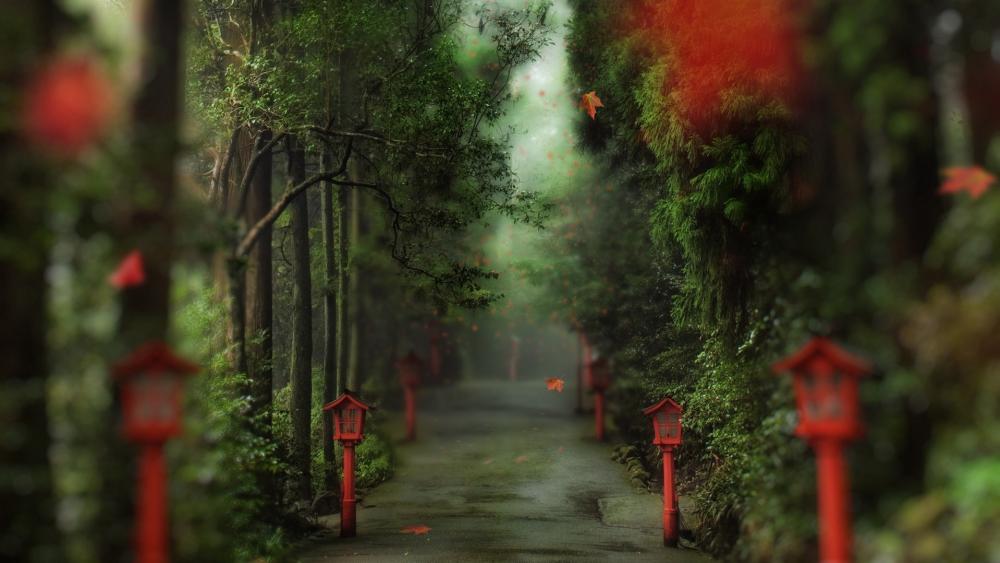 Alley with red lanterns wallpaper