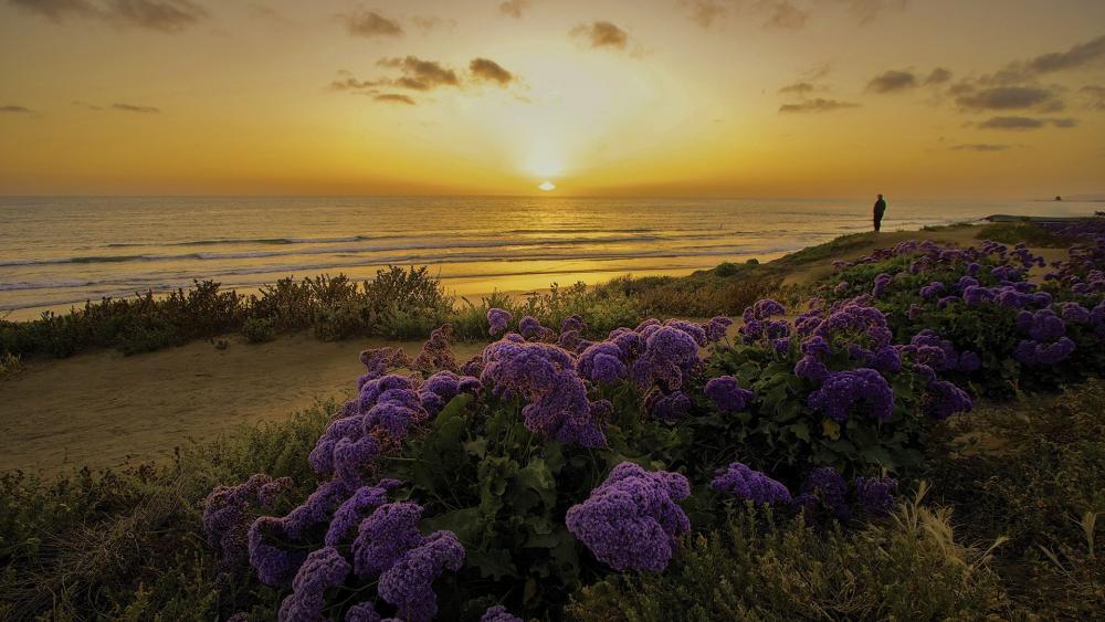 Sunset from the coast of San Diego wallpaper