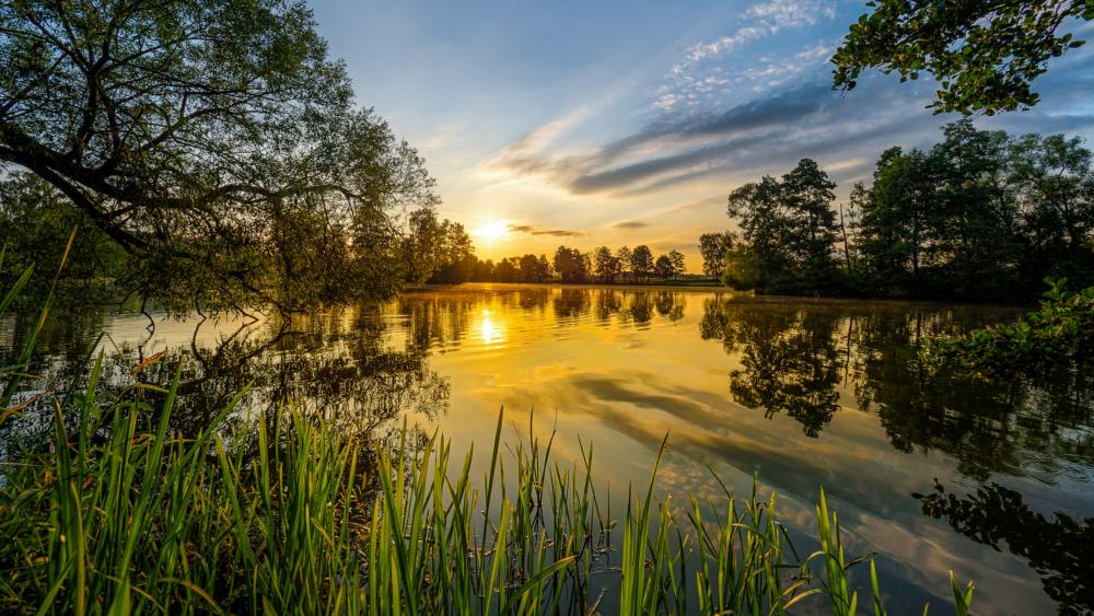 Sunrise over the lake wallpaper