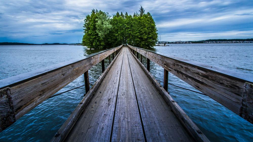 Wooden pier leading to trees wallpaper