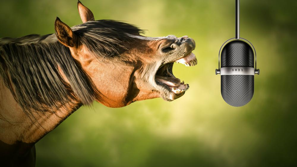 Horse with a microphone wallpaper