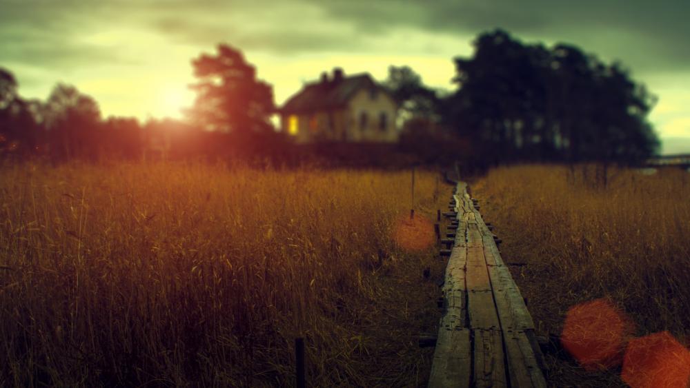 Path along the wheatfield wallpaper