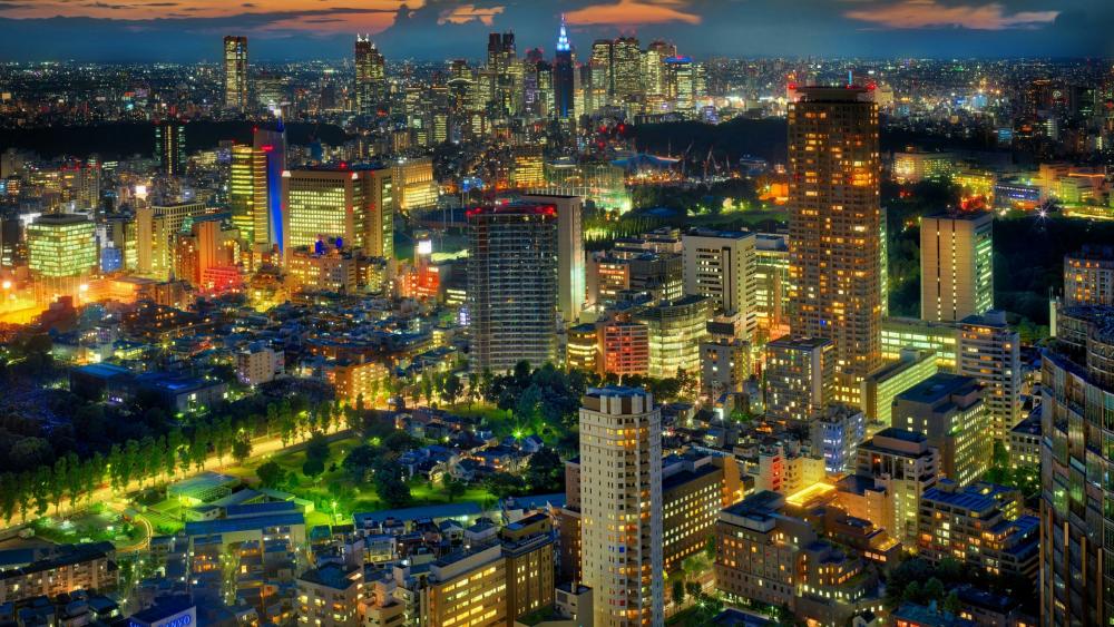 Tokyo skyline at night wallpaper