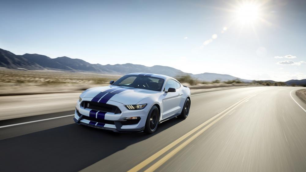 Ford Shelby GT350 Mustang wallpaper