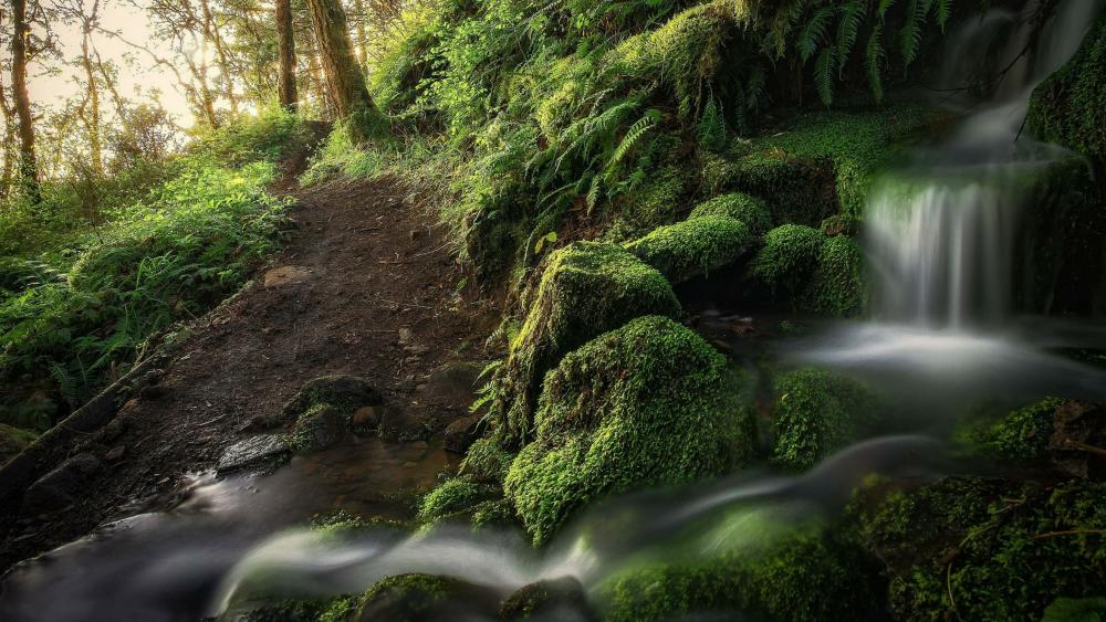 Waterfall on the mossy stones wallpaper