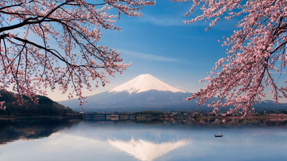Mount Fuji at spring wallpaper