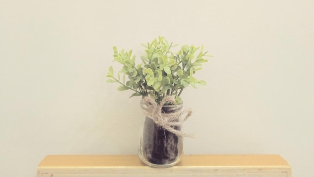 A simple flowerpot wallpaper
