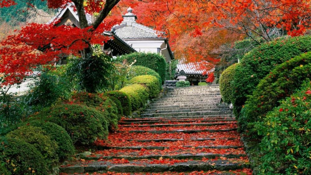 Japanese garden in Kyoto wallpaper