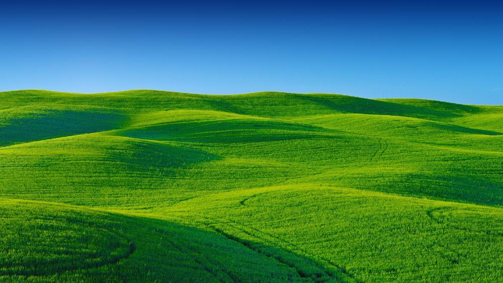 Rolling green hills and blue sky wallpaper