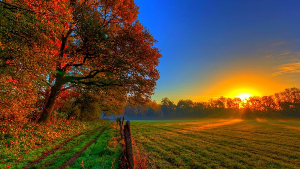 Golden Sunrise Over Autumn Meadow wallpaper