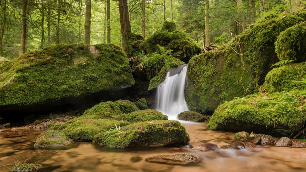 Gertelbach falls in the Black Forest, Germany wallpaper