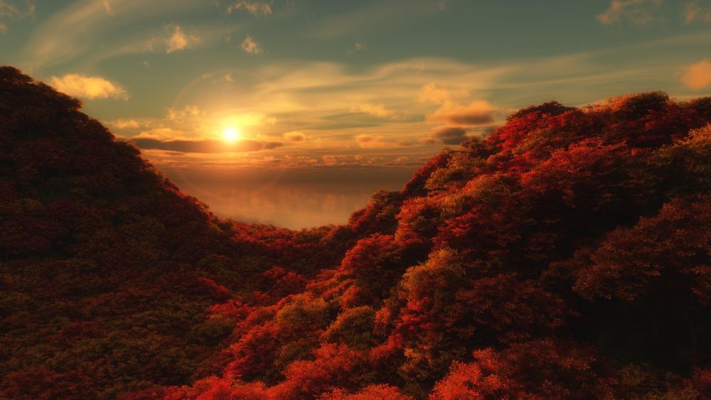Red forest at sunrise wallpaper