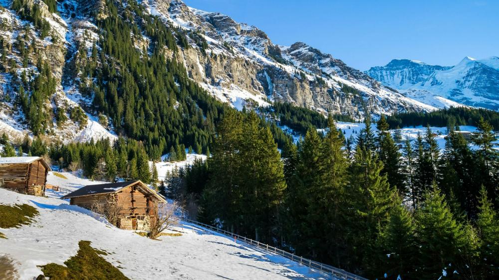 Swiss Alps in winter season wallpaper