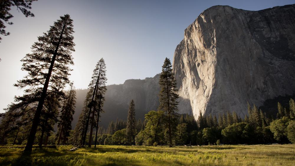 El Capitan from Yosemite Valley wallpaper