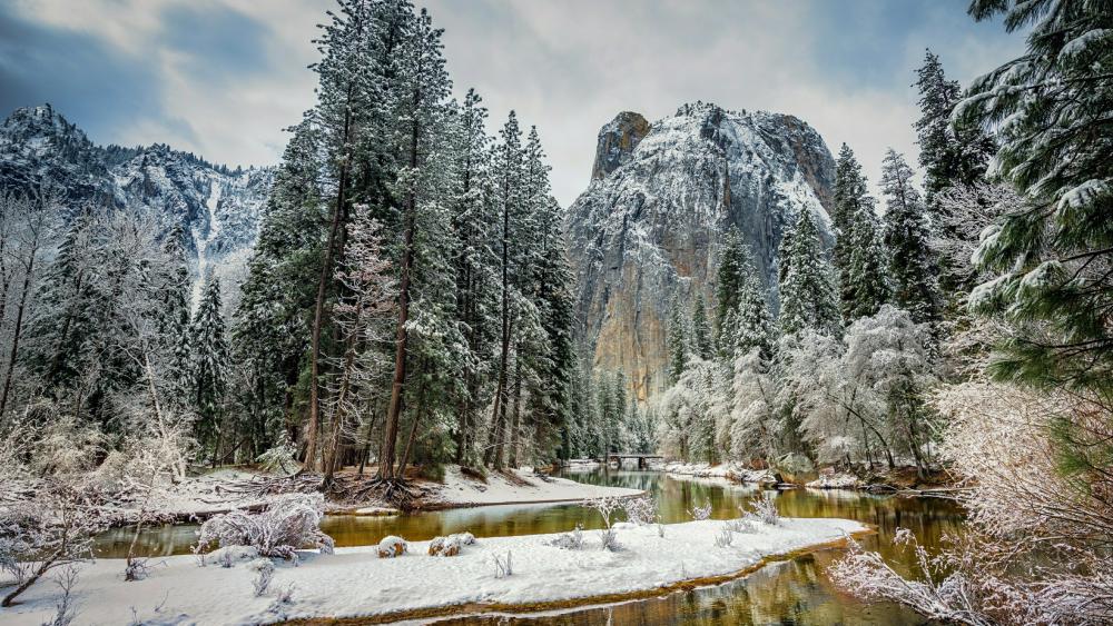 Snow covered Yosemite National Park wallpaper