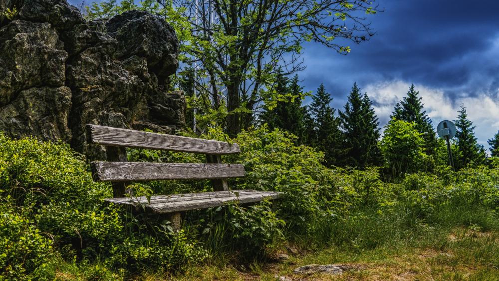 Bench in the nature wallpaper