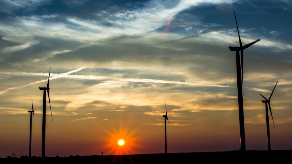 Wind farm in the sunset wallpaper