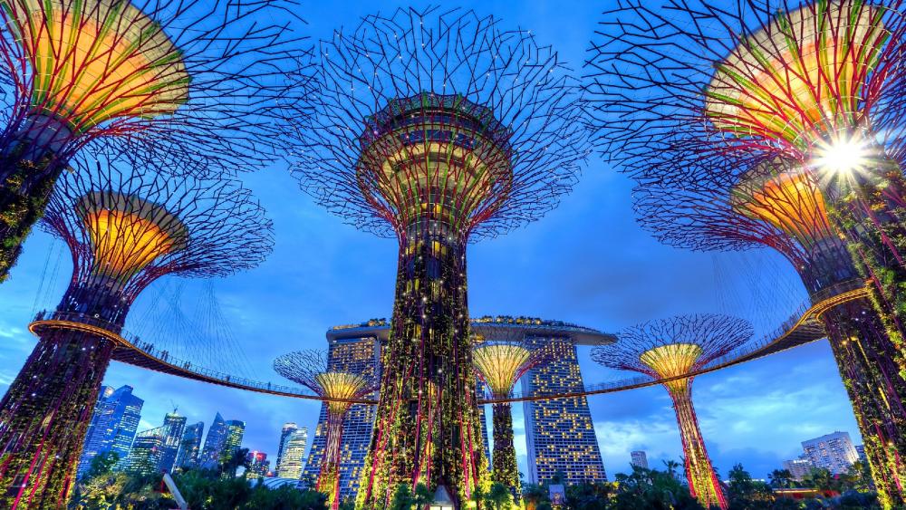 Supertree Grove, Gardens by the Bay wallpaper
